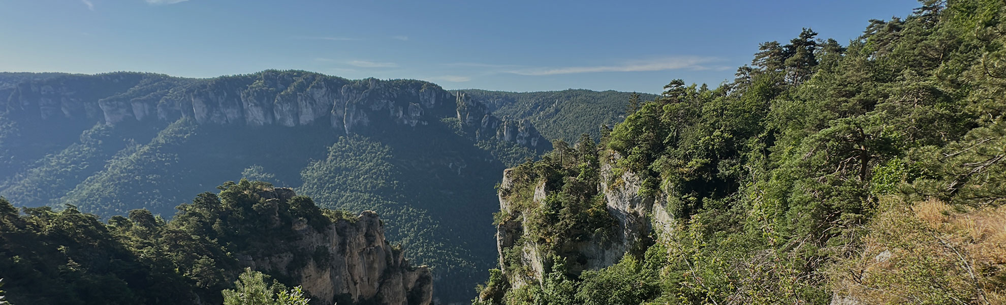 Lire la suite à propos de l’article Road trip en van en Aveyron : 8 étapes incontournables
